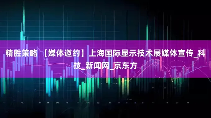 精胜策略 【媒体邀约】上海国际显示技术展媒体宣传_科技_新闻网_京东方