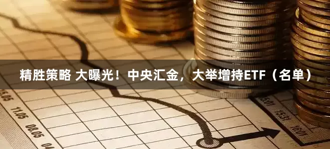 精胜策略 大曝光！中央汇金，大举增持ETF（名单）