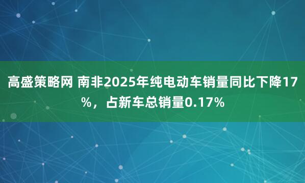 高盛策略网 南非2025年纯电动车销量同比下降17%，占新车总销量0.17%