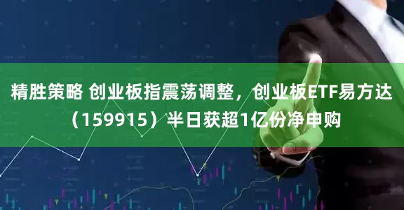 精胜策略 创业板指震荡调整，创业板ETF易方达（159915）半日获超1亿份净申购